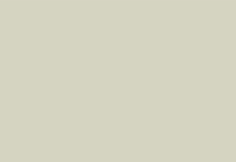 Orgaizatinal Consulting